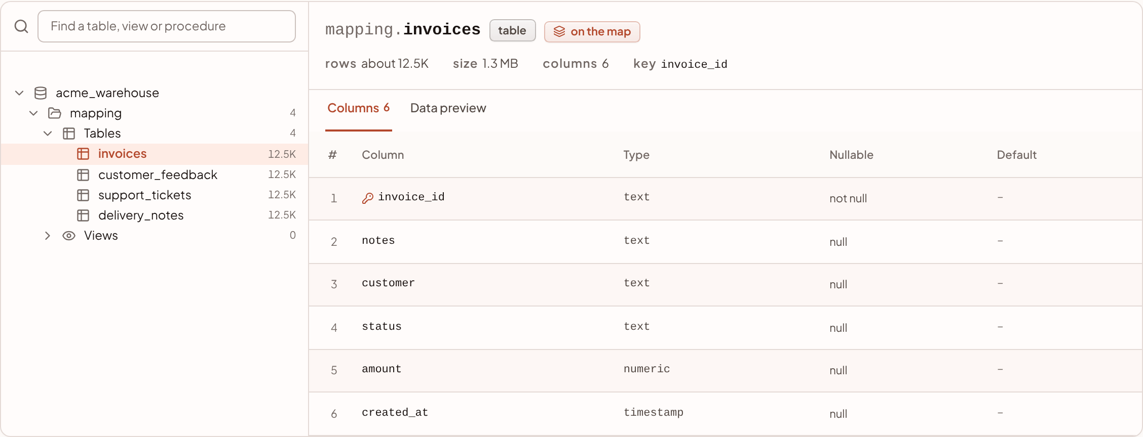 The Explorer with the mapping schema open and the columns of a table shown