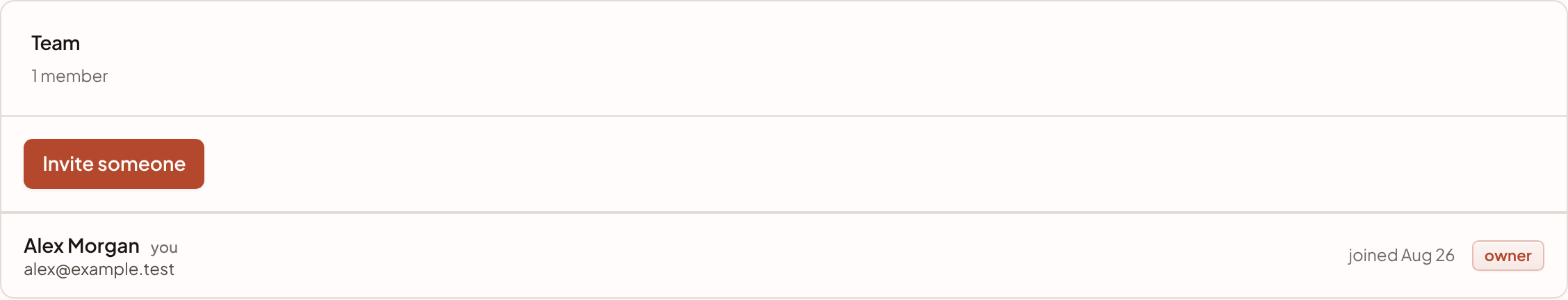The Team panel in Settings, with the Invite someone button above the list of people and their roles.